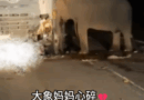 不一样的母亲节